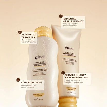 Honey Gloss Hair Wash Trio