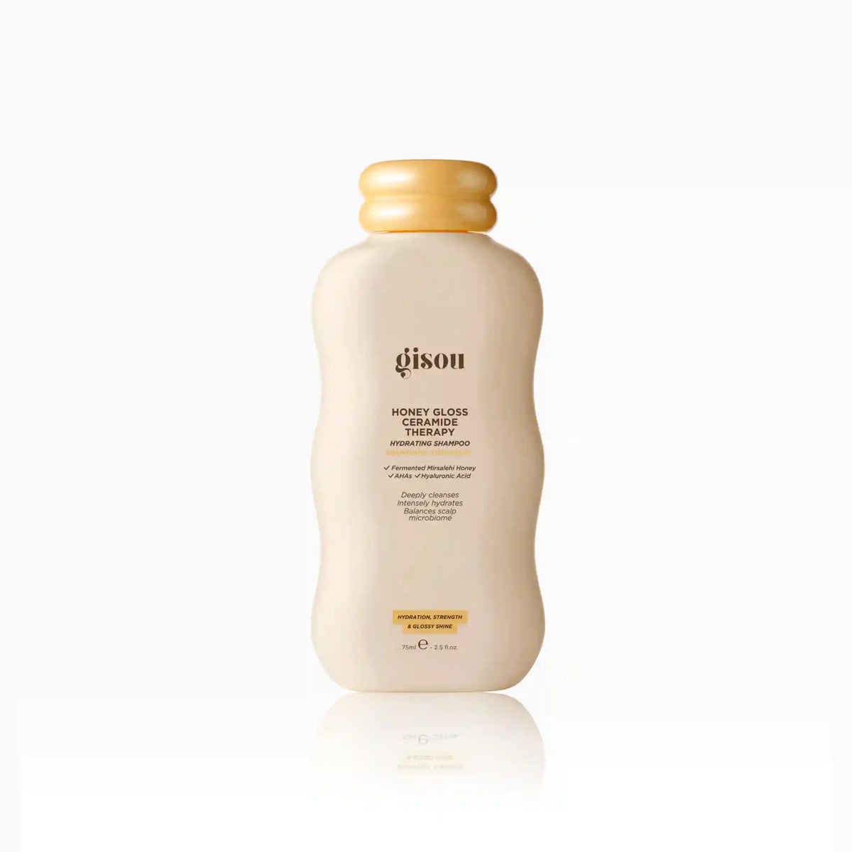 Gloss & Go Styling Kit